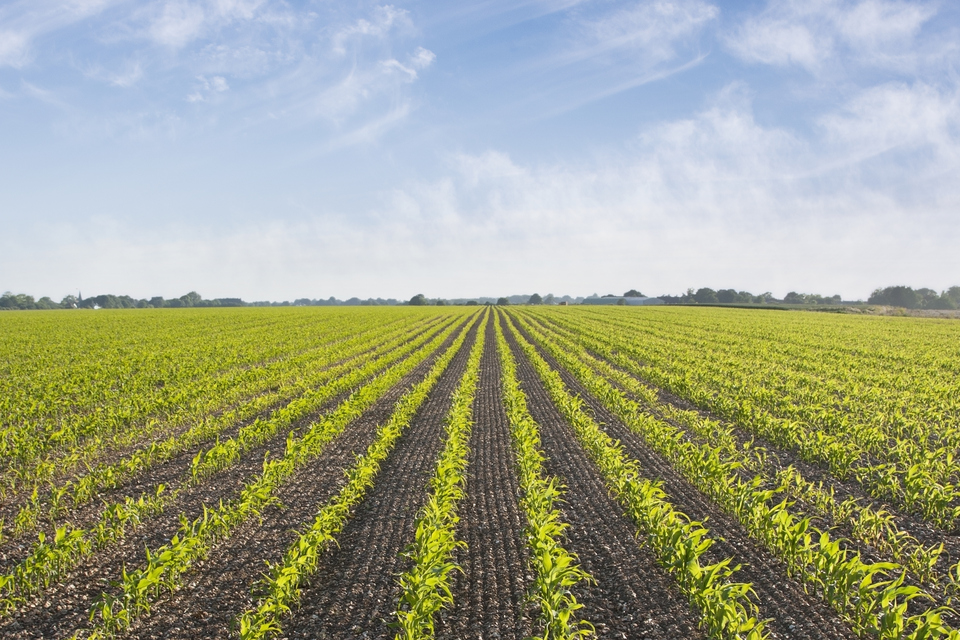 Aumento da produtividade do agricultor com a nova ferramenta de planejamento de nutrientes